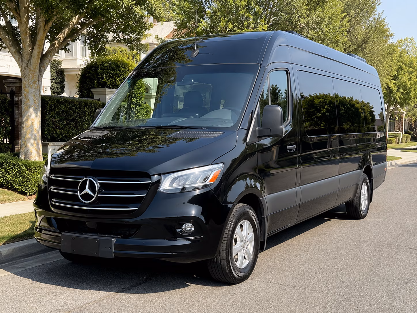 sprinter van with driver